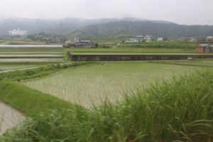 香川県まんのう町の田園風景